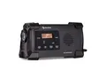 Patagonia DAB+ Outdoor-Radio DAB / DAB+ / FM Kurbelaufladung USB SOS-Alarm wasserdicht Schwarz