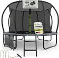 Juskys Trampolin SkyBounce M Ø 305 cm mit Sicherheitsnetz & Leiter