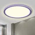 LQWELL® Deckenleuchte LED Deckenlampe, 1,6CM Ultradünn Rund Flach IP44 Wasserfest Badlampe 18W 4000K 1700LM Modern für Wohnzimmer Badezimmer Schlafzimmer Küche Balkon Keller Büro, 220 * 16mm
