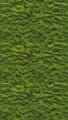 Livingwalls Fototapete Natur in Grün - hochwertige Vliestapete 398391 mit Motiv auf 1,59 m x 2,80 m - Made in Germany