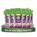 Air Wick Freshmatic Max Nachfüller Frosted Berry Wonder 6x250ml