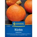 Kiepenkerl Kürbis Uchiki Kuri