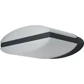 LEDVANCE Endura Style Ellipse, Wandbeleuchtung für den Außenbereich, Grau, Aluminium, IP44, Fassade, Pfad, I - Grau