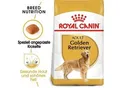 ROYAL CANIN Golden Retriever Adult 3 kg