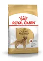 ROYAL CANIN Golden Retriever Adult | 3 kg | Trockennahrung für Hunde | Speziell für ausgewachsene und ältere Golden Retriever | Ab dem 15. Monat | Unterstützung von Haut und Fell