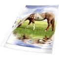 Durable PROSPEKTHÜLLEN PREMIUM 1 Beutel Ã 50 St. 267719 (A4, 50x) (267719)