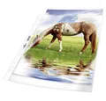 DURABLE Prospekthülle Durable Prospekthülle 2677 DIN A4 Polypropylen 0.08 mm Glasklar 267719