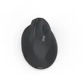 Hama EWM-600R (schwarz) Kabellose Maus