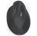Hama EWM-600R Maus Kabellos Optisch Schwarz 8 Tasten 1800 dpi Ergonomisch Mäuse (Ergonomisch)