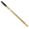 Sondery Irische Pfeife Penny Whistle Tin Whistle Irish Whistle Schlüssel C Messing