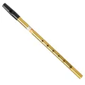 Irische Pfeife Penny Whistle Tin Whistle Irish Whistle Schlüssel C Messing