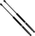 Molle a Gas Portellone Posteriore Compatibili con Renault Scenic (JZ0/1) 02/2009-12/2011 Portellone Bagagliaio