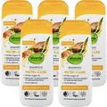 5 x alverde Naturkosmetik - Shampoo Nutri-Care mit Bio-Argan-Öl (5 x 200 ml)