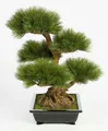 Kunstbonsai Künstlicher Bonsai Pinie in Bonsaischale, 125 Nadelzweige, 70cm Pinie, artplants, Höhe 70.0 cm
