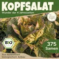 Little Plants BIO Kopfsalat Samen 375 Kopfsalatsamen Wunder der vier Jahreszeiten Gemüsesamen für Gemüsegarten Samenfest Gemüse Samen Salatsamen für Küche, Balkon und Garten