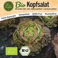 Kopfsalat Samen (BIO) - 375 Samen Salatsamen Wunder der Vier Jahreszeiten