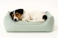 Flamingo Orthopädisches Hundebett Baldar – Rechteckig, Grün, 65 cm | Ergonomischer & Bequemer Schlafplatz für Hunde!
