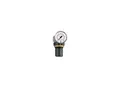 Riegler Druckregler »Standard-mini«, Schalttafelmutter, G 1/4, 0,1-3 bar (482.20 A)