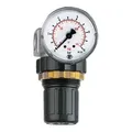 Riegler Druckregler "Standard-mini", Schalttafelmutter, G 1/4, 0,1-3 bar