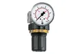 RIEGLER 100776-482.20 A Druckregler »Standard-mini«, Schalttafelmutter, G 1/4, 0,1-3 bar, 1Stk