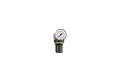 RIEGLER Riegler Druckregler »Standard-mini«, Schalttafelmutter, G 1/4, 0,1-3 b