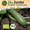 Zucchini Samen (BIO) - 10 Samen Gemüsesamen Zucchinisamen Courgette