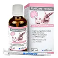 alfavet RodiCare Pregno, unterstützt hormonelle Prozesse bei Scheinschwangerschaft von Kleinnagern, Nahrungsergänzung, 50 ml mit Dosierspritze