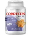Cordyceps Pulse Kapseln - 20 Stück - Neu&OVP - Blitzversand