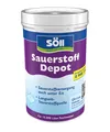 Söll SauerstoffDepot-Tabs 30 Tabs für 12000 Liter Teichpflege Sauerstoff 300g