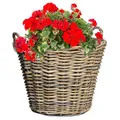 Annastore Pflanzkorb aus Weide mit Henkel und Innenfolie Blumenkorb Weidenkorb, Korb aus Weide, Pflanzgefäß Größe Ø 42 cm - H 31 cm (helle Folie)