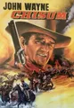 DVD - John Wayne - Chisum - sehr gut