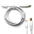 DJ TECHTOOLS DJTT USB-C Chroma Cable White 1 5m gerader Stecker