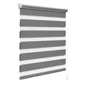 WOLTU Doppelrollo Klemmfix ohne Bohren Dunkelgrau B70 x H150 cm, Duo Rollo lichtdurchlässig Fensterrollo für innen verdunkelnd, Zebrarollo mit Kettenzug - Seitenzugrollo für Fenster und Tür