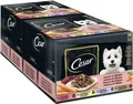 CESAR® Portionsbeutel Multipack Selection in Sauce 4 Varietäten 2 x 24 x 100g
