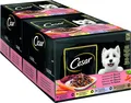 Cesar Adult Hundenassfutter Hundefutter Selektion in Sauce 48 Portionsbeutel