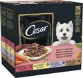 Cesar Selektion in Sauce Hundefutter Nassfutter Rind Huhn Lamm 48 Beutel x 100 g