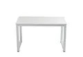 Thanaddo Arbeitstisch 60 x 120 cm Schreibtisch, Kleiner Computertisch, Bürotisch für Büro