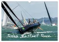 Terry Hewlett ARPS | Rolex Fastnet Race (Wall Calendar 2025 DIN A3...