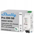 E24 Shelly Pro EM, 2 Phasen WLAN + LAN Energiemessgerät, 50 Ampere