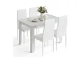 Mondeer Essgruppe Esszimmergruppe (Set, 5-tlg), (1 Tisch + 4 Stühle), Spanplatte & Lederimitat, Zweifarbig, Ergonomisch