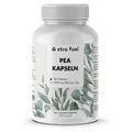 PEA Kapseln - Mikronisiertes Palmitoylethanolamid - 1200mg pro Tag – 1x Dose (180x PEA Kapseln)