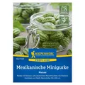 Saatgut, Mexikanische Minigurke 'Mateo'