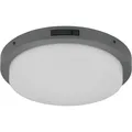Trio Leuchten LED Aussen Hausnummerleuchte Bermejo 630369142, Aluminium Druckguss Anthrazit, Kunststo (1450 lm, IP54) (630369142)