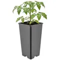 Garronda Blumentopf Kunststoff hoch eckig mit Drainagelöchern für Garten GD-0201 (1 St) schwarz 2 l | 11 cm x 21.5 cm