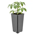 Garronda Pflanztopf Kunststoff hoch 11 x 11 x 21,5 cm (2L) eckig mit Drainagelöchern Blumentopf PP Pflanzgefäß für Garten Gewächshaus Balkon Anzucht Innen Außenbereich Schwarz GD-0201