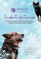 Picoberts Winterreise: Begebe dich mit deinem Hund und deiner Katze auf eine entspannte Reise durch die dunkle Jahreszeit