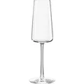 Stölzle Set Power Champagnerkelch (24 cl, 1 Glas, Sektgläser) (159 00 29)