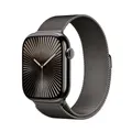 Apple Watch Series 10 4G 46mm Titan Schiefer Milanaise Schiefer M/L