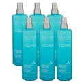 Revlon Equave Hydro Instant Detangling Conditioner 6 x 500 ml 2 Phasen Sprüh Con