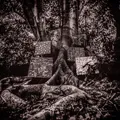 Washington,Kamasi / Harmony Of Difference